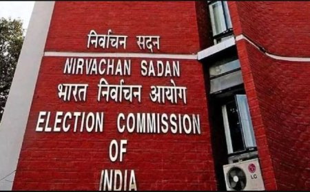 स्तरीय सामान्य निर्वाचन-2025 के मतदान एवं मतगणना को स्वतंत्र और निष्पक्ष रूप से सम्पन्न कराने हेतु प्रेक्षक नियुक्त