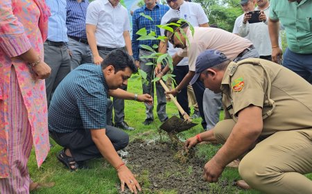 हरेला महापर्व पर स्पोर्टस स्टेडियम, कलेक्ट्रेट व कैम्प कार्यालय परिसर में हुआ पौधरोपण कार्यक्रम