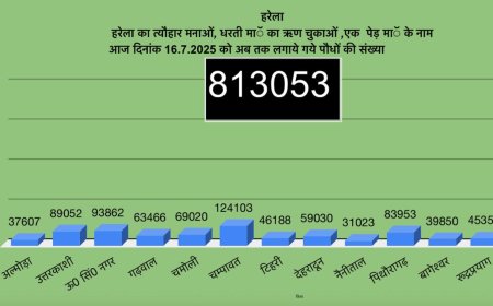 उत्तराखंड में हरेला पर्व बना हरित क्रांति का उत्सव, 8 लाख 13 हज़ार से अधिक पौधे रोपे गए