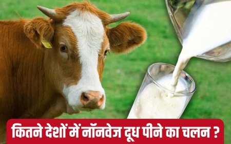 Non Veg Milk: क्या है नॉन वेज दूध? इसके कारण क्यों अटकी है भारत और अमेरिका के बीच व्यापार की शर्तें
