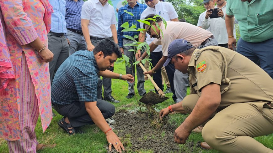 हरेला महापर्व पर स्पोर्टस स्टेडियम, कलेक्ट्रेट व कैम्प कार्यालय परिसर में हुआ पौधरोपण कार्यक्रम