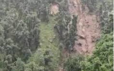 आपदा पीड़ितों को राहत: सैंजी और बुरांसी गांव के प्रभावितों को आर्थिक सहायता प्रदान