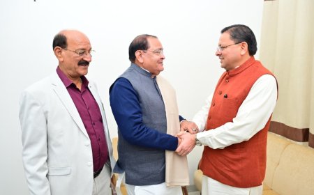 मुख्यमंत्री ने सिंगटाली पुल के लिए 57 करोड़ रुपए की स्वीकृत दी