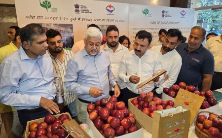 देहरादून से दुबई के लिए 1.2 मीट्रिक टन गढ़वाली सेब (किंग रोट) की पहली परीक्षण खेप रवाना