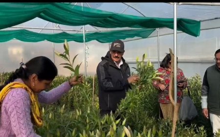 “आत्मनिर्भर उत्तराखण्ड” का सपना हो रहा साकार" – सीएम धामी