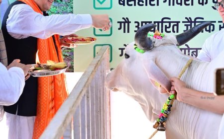 सीएम धामी ने कहा देवभूमि में गौवंश हत्यारों पर सख्त कारवाई की जाए