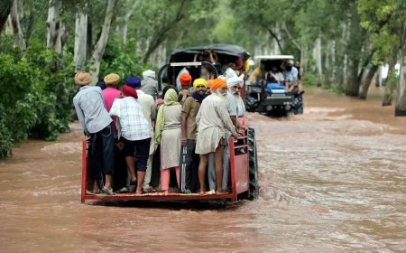 पंजाब आपदा राहत के लिए सचदेवा बंधुओं ने बढ़ाया मदद का हाथ