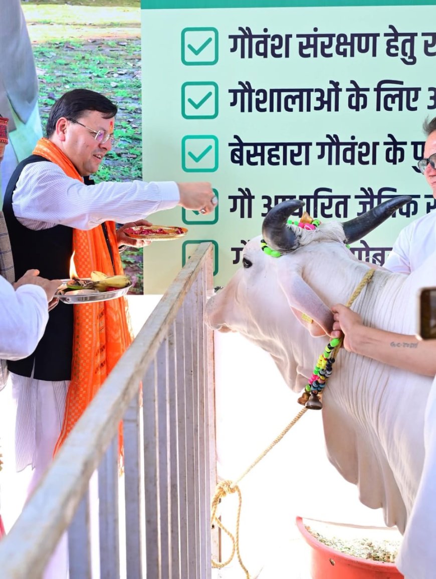 सीएम धामी ने कहा देवभूमि में गौवंश हत्यारों पर सख्त कारवाई की जाए
