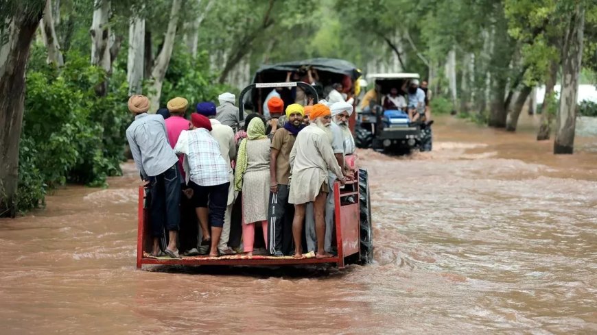 पंजाब आपदा राहत के लिए सचदेवा बंधुओं ने बढ़ाया मदद का हाथ
