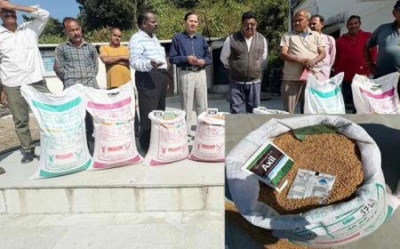 आईसीएआर द्वारा देहरादून के किसानों को नई गेहूँ की किस्में उपलब्ध कराई गईं