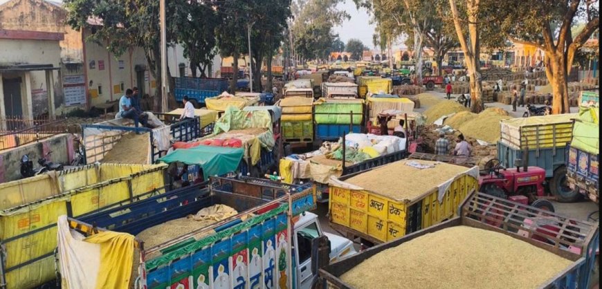 अनाज मंडी में धान की आवक बढ़ने से यातायात व्यवस्था ध्वस्त