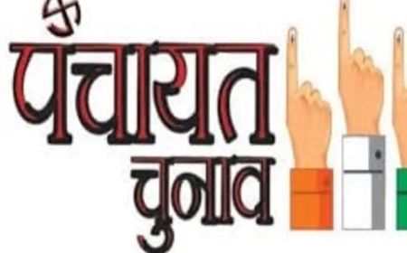 जिलाधिकारी ने सदस्य ग्राम पंचायत उप-निर्वाचन की तैयारियों की समीक्षा की