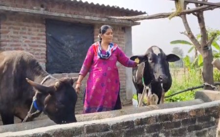 कुल्हा डेयरी समिति को मिला राष्ट्रीय गोपाल रत्न पुरस्कार 2025