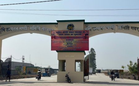 सरकारी खरीद केंद्रों पर धान तुल जाने से मंडी में पसरा सन्नाटा, आढ़तियों की चिंता बढ़ी