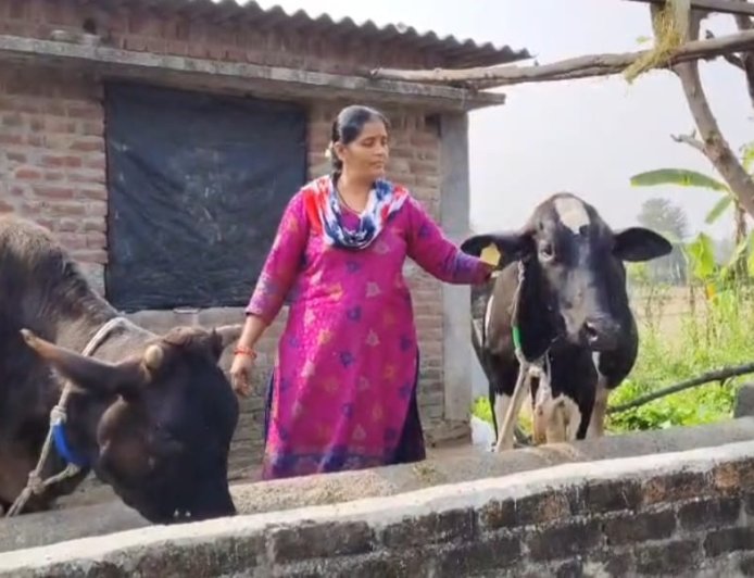 कुल्हा डेयरी समिति को मिला राष्ट्रीय गोपाल रत्न पुरस्कार 2025