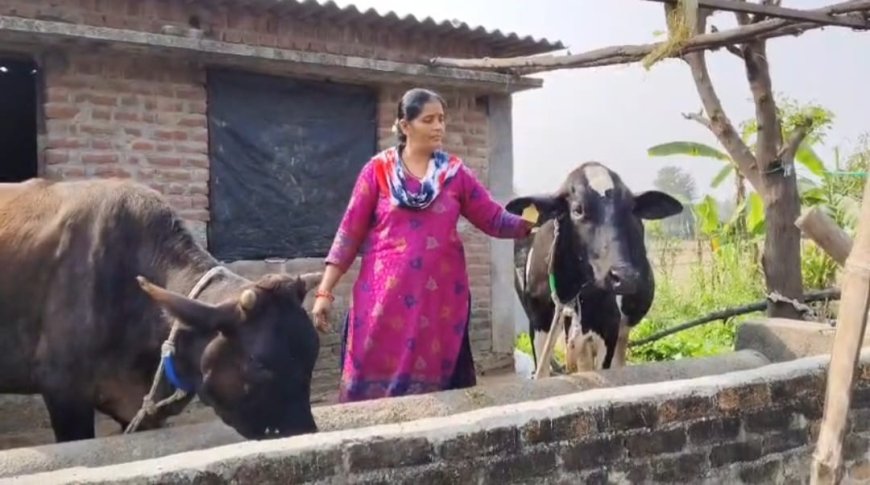 कुल्हा डेयरी समिति को मिला राष्ट्रीय गोपाल रत्न पुरस्कार 2025