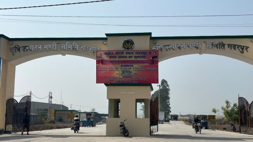 सरकारी खरीद केंद्रों पर धान तुल जाने से मंडी में पसरा सन्नाटा, आढ़तियों की चिंता बढ़ी