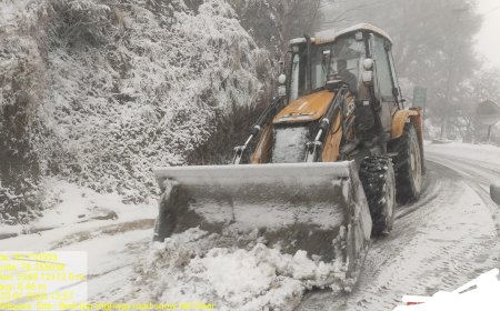 राज्य के ऊँचाई वाले क्षेत्रों में बर्फबारी एवं हिमस्खलन की चेतावनी, खतरे की श्रेणी घोषित