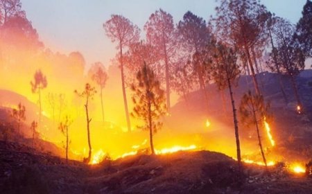 पुराने सभी रिकॉर्ड तोड़ डालेगी 2026 की गर्मी