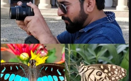 भारत का पहला परागणकर्ता उद्यान: तितलियों और मधुमक्खियों को बचाने की भारत की पहली ठोस पहल