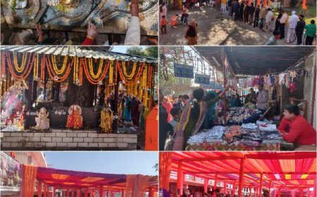 अखनूर में महाशिवरात्रि श्रद्धा और भक्ति के साथ संपन्न