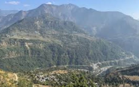 जलवायु परिवर्तन का उत्तराखंड में दिख रहा है असर