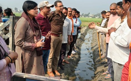 गदरपुर में ग्रीष्मकालीन धान पर प्रशासन की सख्त कार्रवाई