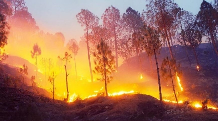 पुराने सभी रिकॉर्ड तोड़ डालेगी 2026 की गर्मी