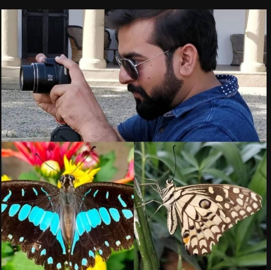 भारत का पहला परागणकर्ता उद्यान: तितलियों और मधुमक्खियों को बचाने की भारत की पहली ठोस पहल