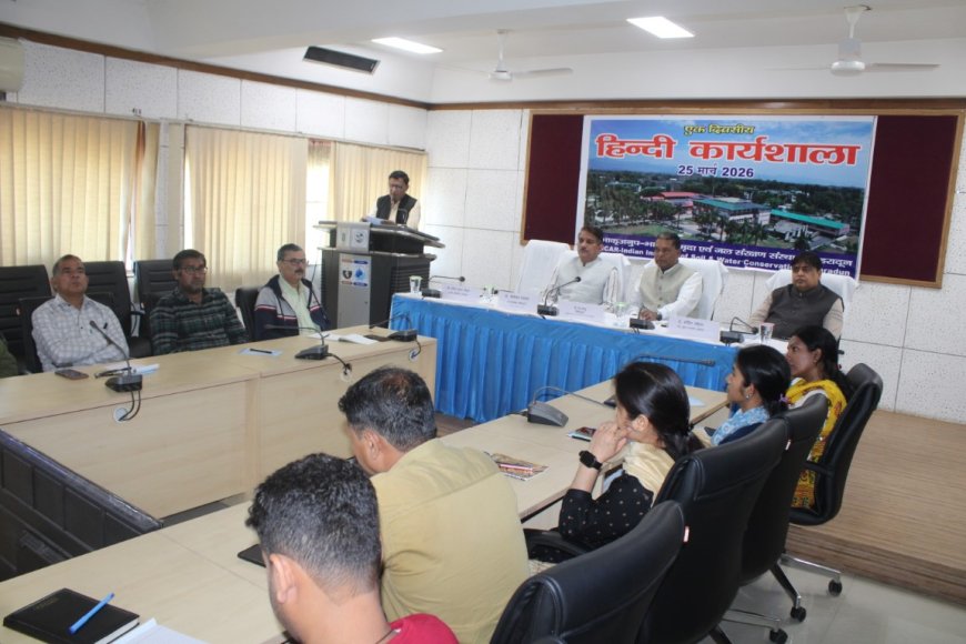 राजभाषा नियमों पर जागरूकता कार्यक्रम, हिंदी ई-टूल्स पर विशेष प्रशिक्षण