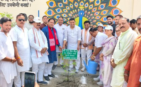 शहरी विकास मंत्री ने नगर निगम में किया करोड़ों की योजनाओं का शिलान्यास