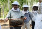 शहद, मशरूम और डेयरी क्षेत्र में नवाचारों को बढ़ावा देने पर सचिव का जोर