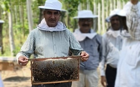 शहद, मशरूम और डेयरी क्षेत्र में नवाचारों को बढ़ावा देने पर सचिव का जोर