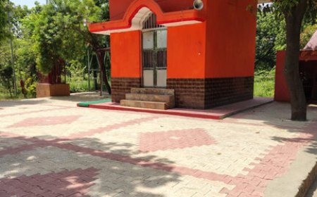 नगर पालिका में कथित भ्रष्टाचार! पहले से बनी सड़क पर फिर टेंडर, उठे सवाल