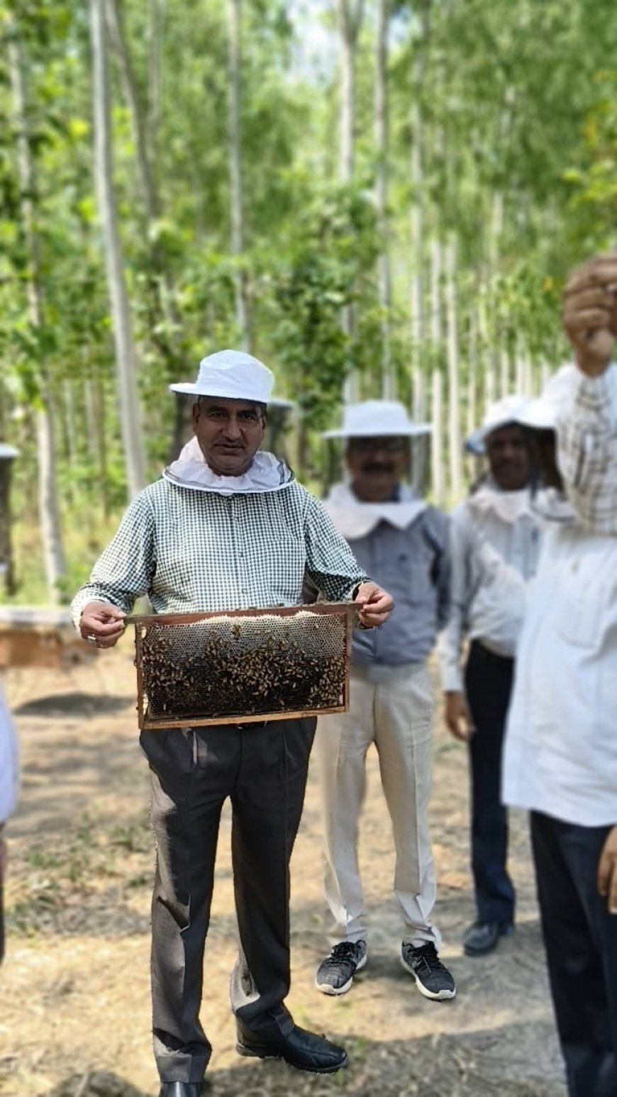 शहद, मशरूम और डेयरी क्षेत्र में नवाचारों को बढ़ावा देने पर सचिव का जोर