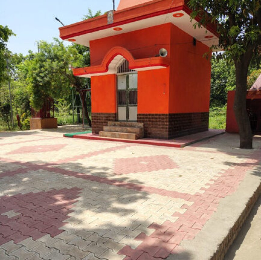 नगर पालिका में कथित भ्रष्टाचार! पहले से बनी सड़क पर फिर टेंडर, उठे सवाल