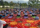 योग की छांव में विकास का संकल्प, एमडीडीए सिटी फॉरेस्ट पार्क बना स्वास्थ्य और प्रकृति का महाकुंभ