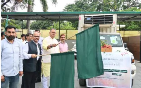 एपीडा ने यूरोप में बनाई पैठ: उत्तराखंड की ताजी लीची की इटली को पहली खेप निर्यात