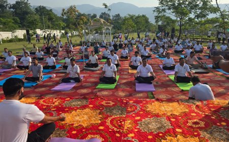 योग की छांव में विकास का संकल्प, एमडीडीए सिटी फॉरेस्ट पार्क बना स्वास्थ्य और प्रकृति का महाकुंभ