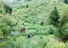‘हर काम देश के नाम’: हरेला सप्ताह के अंतर्गत 130 इन्फैंट्री बटालियन (प्रादेशिक सेना) इकोलॉजिकल कुमाऊँ द्वारा विशेष वृक्षारोपण अभियान