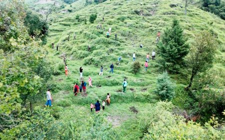 ‘हर काम देश के नाम’: हरेला सप्ताह के अंतर्गत 130 इन्फैंट्री बटालियन (प्रादेशिक सेना) इकोलॉजिकल कुमाऊँ द्वारा विशेष वृक्षारोपण अभियान