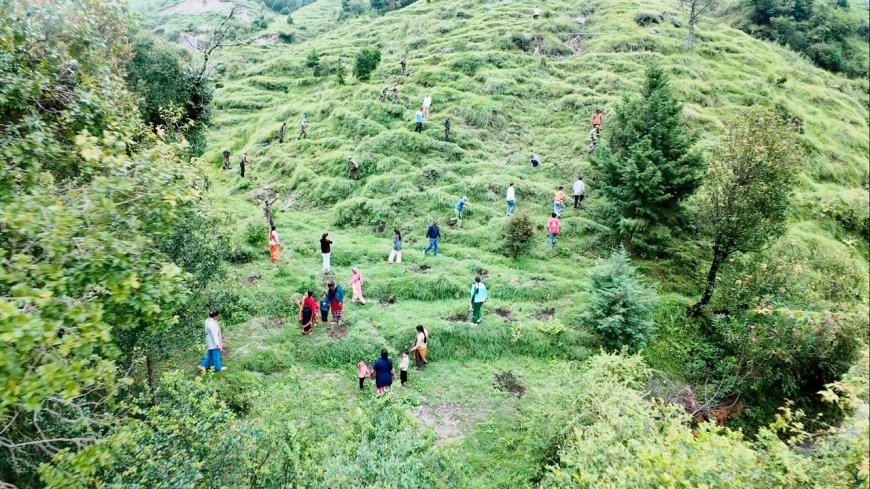 ‘हर काम देश के नाम’: हरेला सप्ताह के अंतर्गत 130 इन्फैंट्री बटालियन (प्रादेशिक सेना) इकोलॉजिकल कुमाऊँ द्वारा विशेष वृक्षारोपण अभियान