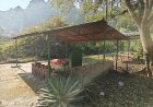 राजा जी टाइगर रिजर्व में कैसे बन गई अवैध मजारे, सोया रहा प्रशासन