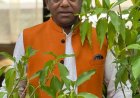 पद्मश्री वैद्य बालेंदु प्रकाश का आकस्मिक निधन, आयुर्वेद जगत में शोक की लहर