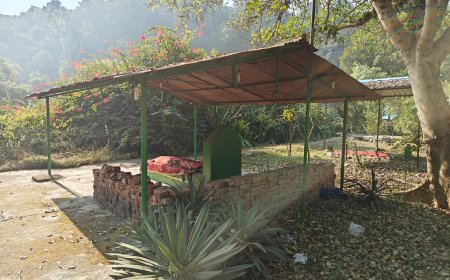 राजा जी टाइगर रिजर्व में कैसे बन गई अवैध मजारे, सोया रहा प्रशासन