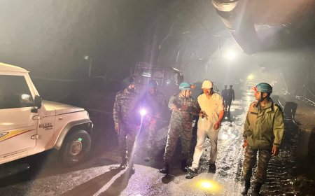 INDIAN ARMY MOUNTS RESCUE MISSION AT PIPALKOTI