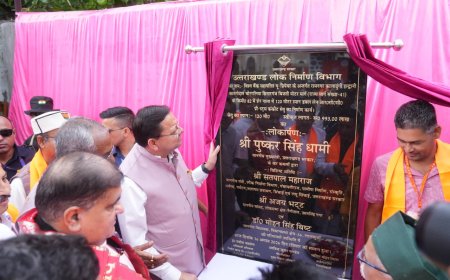 मुख्यमंत्री धामी ने सुनीं जनसमस्याएं, शेर नाला पुल का किया लोकार्पण